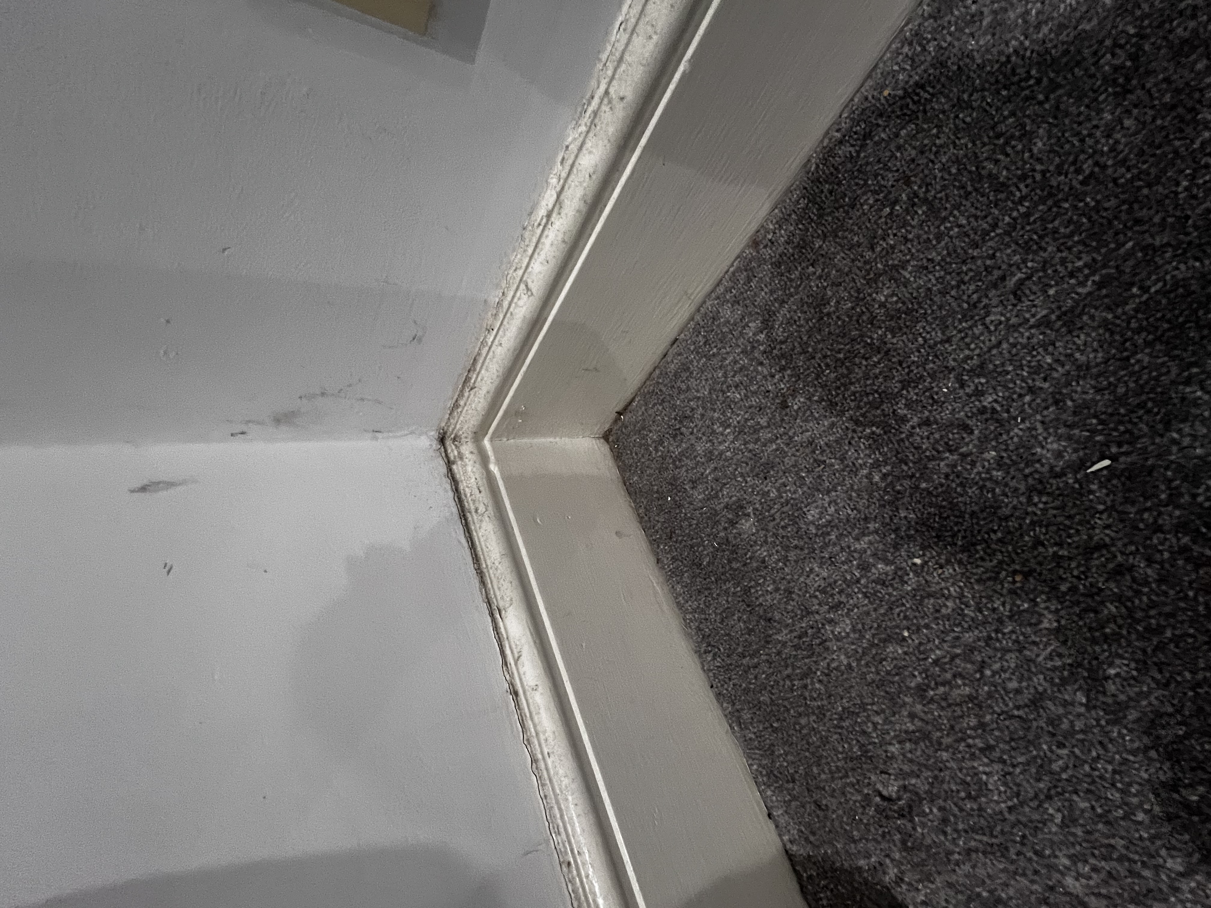 Cleaning work by Reliable clean service