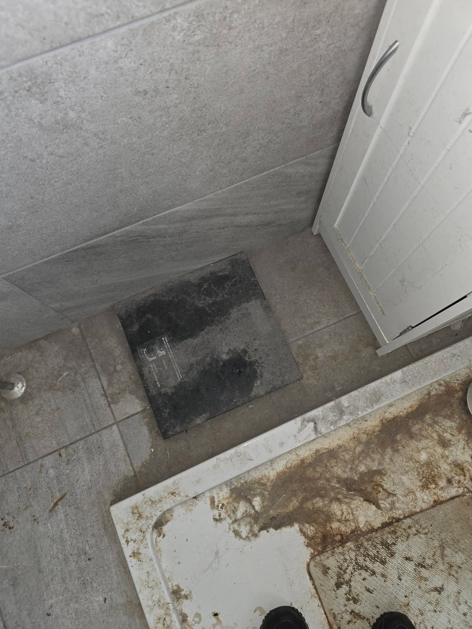 Cleaning work by Partners in Grime