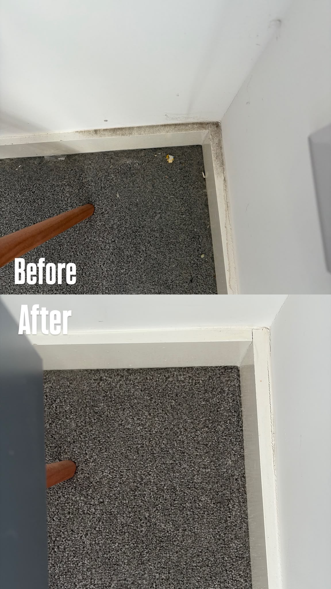 Cleaning work by Bernardo